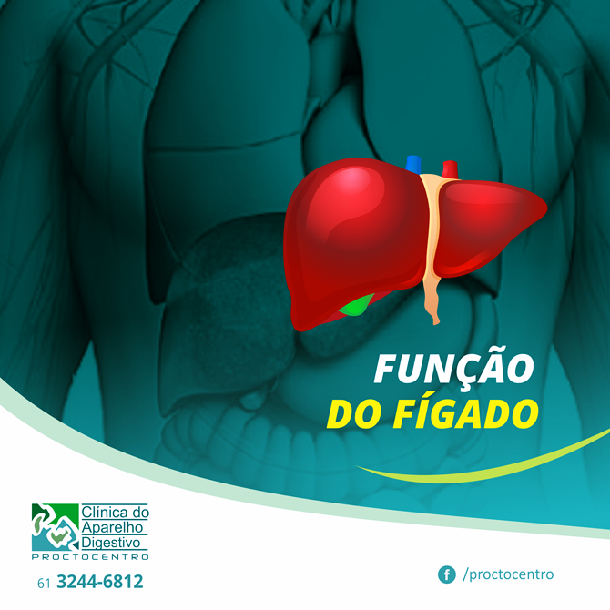 Fígado: responsável pelo correto funcionamento do organismo – Clínica ...